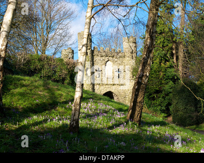 Reigate Castle mock medieval gateway folly and crocuses in the dry moat, in the low winter sun in February Stock Photo