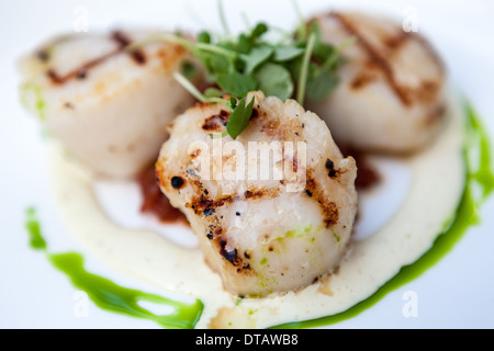 Grilled Sea Scallops Stock Photo