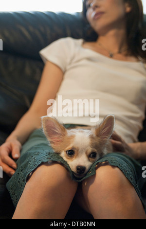 Young woman with dog sitting on sofa Stock Photo