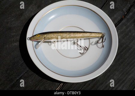 Fishing tackle on plate, close-up Stock Photo