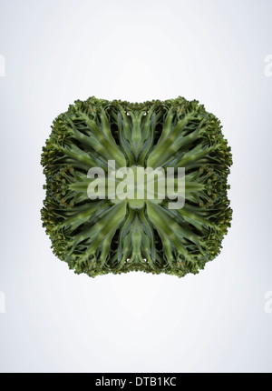 A digital composite of mirrored images of the bottom of pieces of broccoli Stock Photo