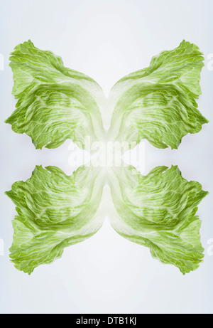 A digital composite of mirrored images of leaves of iceberg lettuce Stock Photo
