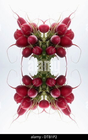 A digital composite of mirrored images of bunches of radishes Stock Photo