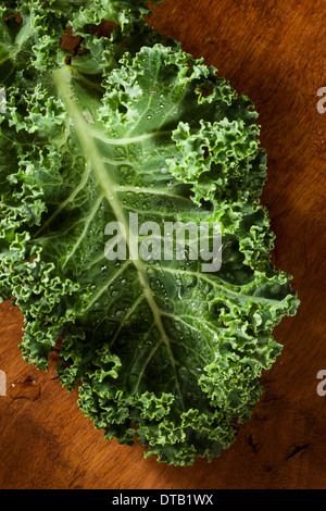 Bunch of Healthy Raw Green Kale Leafy Vegetables Stock Photo