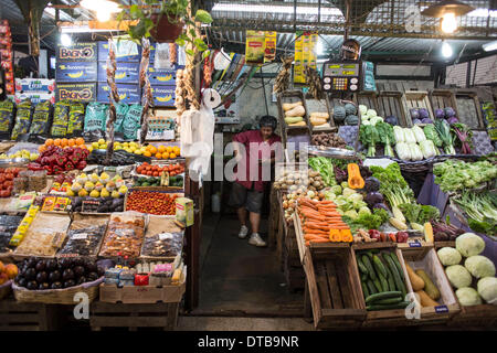 Buenos Aires, Argentina. 13th Feb, 2014. A vendor is seen at his vegetable shop in Buenos Aires, Argentina, on Feb. 13, 2014. The National Statistics and Census Institute (INDEC) of Argentina announced on Thursday the new consumer price index (CPI), which raised 3.7 percent in January, in comparison with December 2013. The new CPI was questioned by the opposition and social and political organizations, according to local press. © Martin Zabala/Xinhua/Alamy Live News Stock Photo