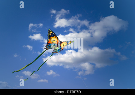 Berlin, Germany , fly kites Stock Photo