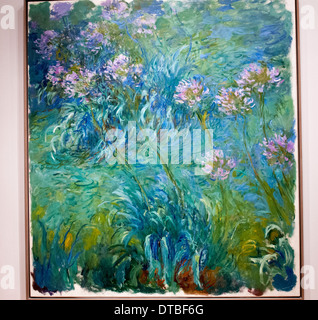 Agapanthus by Claude Monet at the Museum of Modern Art, New York City USA Stock Photo