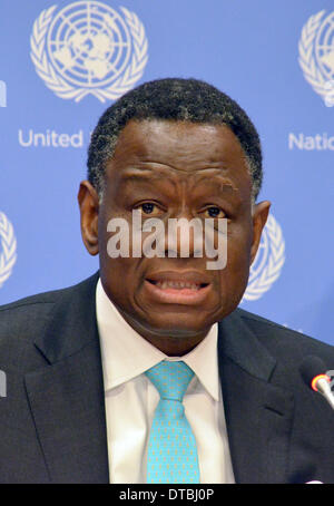 New York, USA. 12th Feb, 2014. Executive Director of UNFPA, United Nationa Population Fund, Babatunde Osotimehim (Nigeria) speaks during a press conference at UN headquarters in New York, USA, 12 February 2014. He has warned about discriminating against women which could harm the worldwide battle against poverty. Women have to be educate and able to make their own decisions, otherwise broad proseperity isn't possible. Photo: CHRIS MELZER/dpa/Alamy Live News Stock Photo