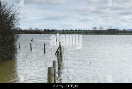 Flooded field fields with farmland and fences underwater trees waterlogged lake pond Stock Photo