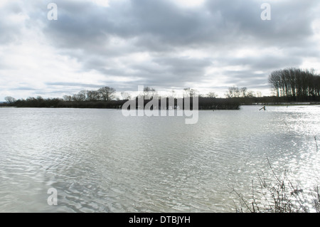 Flooded field fields with farmland and fences underwater trees waterlogged roots flood plane lake pond Stock Photo