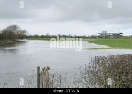 Flooded field with farmland and fences underwater trees waterlogged roots buildings shed swan barn Stock Photo