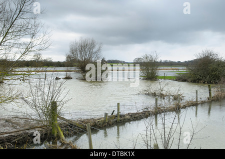 Flooded field with farmland and fences underwater trees waterlogged roots Stock Photo