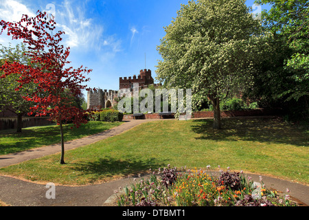 Summer, Castle Gardens, Hertford Castle, Hertford town, Hertfordshire County, England, UK Stock Photo