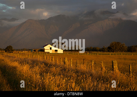 Old farm sheep station in late afternoon light, near fox glacier, southern alps, South Island, New Zealand Stock Photo