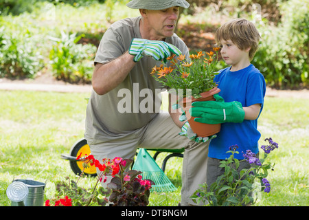 Grandfather and grandson engaged in gardening Stock Photo