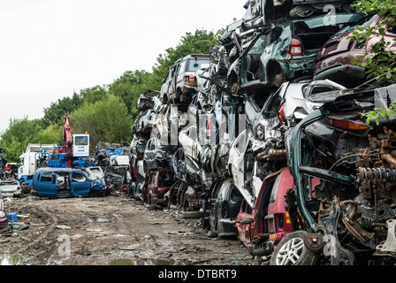 Crushed cars in scrap yard UK Stock Photo