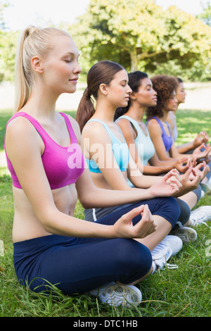 Women sitting in lotus position during yoga training at park Stock ...