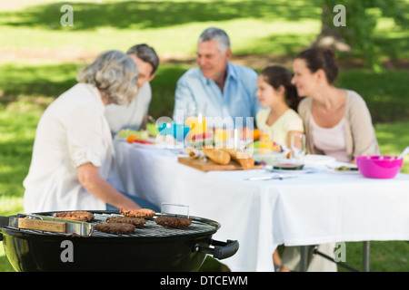 Barbecue grill with extended family having lunch in park Stock Photo