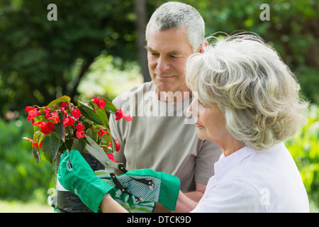 Mature couple engaged in gardening Stock Photo