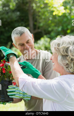 Mature couple engaged in gardening Stock Photo