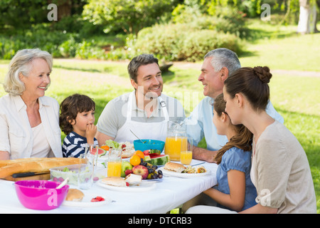 Extended family having lunch in the lawn Stock Photo