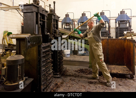 Berlin, Germany, production of tobacco in the Planta Tobacco Manufactory Stock Photo