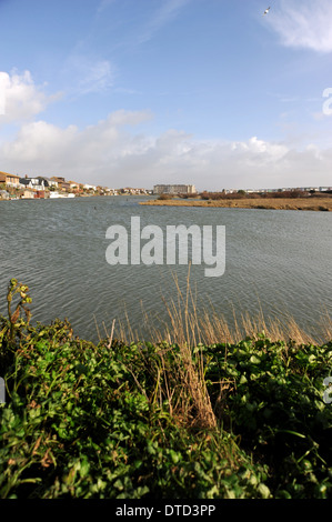 The Widewater Nature Reserve at Lancing and Shoreham Beach Sussex UK Stock Photo