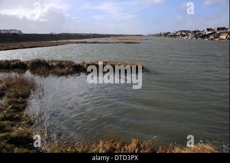 The Widewater Nature Reserve at Lancing and Shoreham Beach Sussex UK Stock Photo