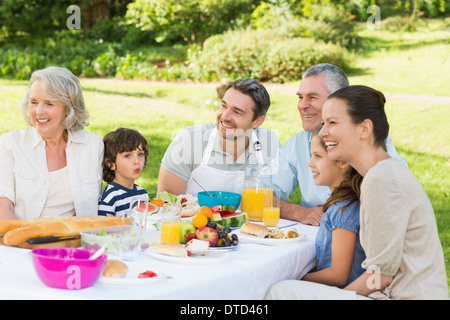 Extended family having lunch in the lawn Stock Photo