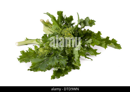Fresh Rapini Stock Photo