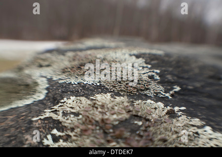 A frozen New England rock  takes on a spooky atmosphere. Stock Photo