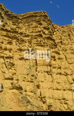 Eroded cliffs at West Bay, Dorset, England, UK, after rockfall, February 2014. Stock Photo