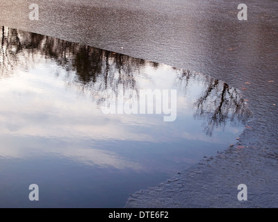 A pond is partially frozen on a winter day and reflects tree tops in the water. Stock Photo
