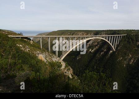 Bungee jumping from the Bloukrans Bridge, N2 highway, South Africa Stock Photo