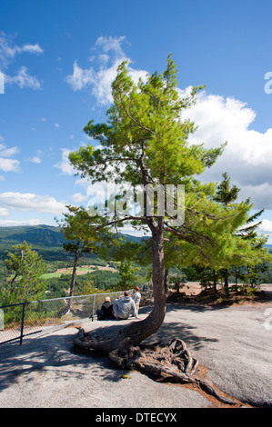 Couple with child enjoying the vista from the top of Cathedral Ledge, near North Conway, New Hampshire, USA. Stock Photo