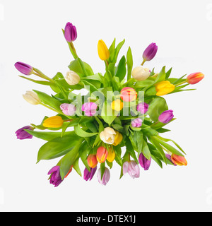 bouquet of colorful tulips over white background Stock Photo