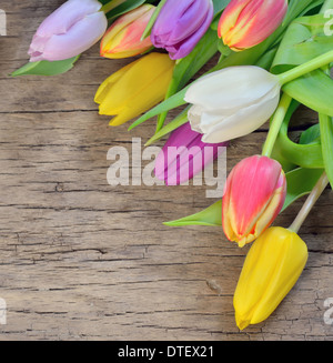 bouquet of colorful tulips over rustic wooden Stock Photo