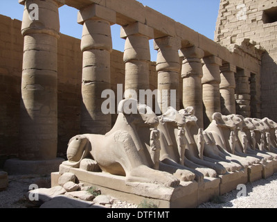 sunny illuminated scenery around Precinct of Amun-Re in Egypt with sphinx statues and columns Stock Photo