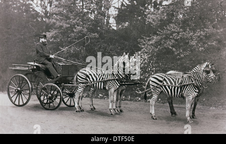 Lord Lionel Walter Rothschild (1868-1937) Stock Photo