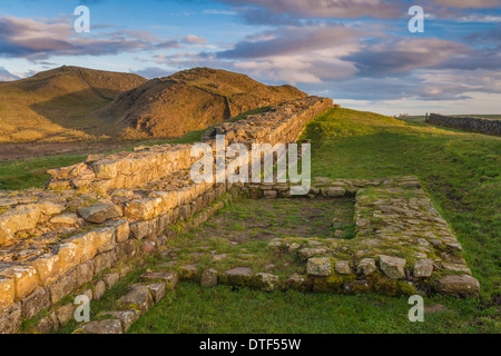 A stretch of Hadrian's Wall and the remains of turret 41a near Caw Gap in the Northumberland National Park, England Stock Photo