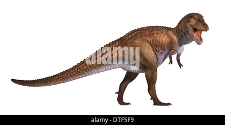 Tyrannosaurus rex Stock Photo