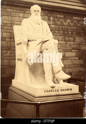 Charles Robert Darwin (1809-1881) Stock Photo