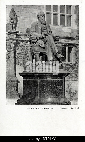 Charles Robert Darwin (1809-1882) Stock Photo