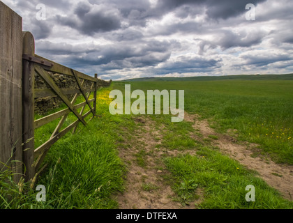 Open Farm Gate Into A Green Field Stock Photo