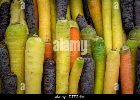 "Rainbox Mix" Heritage Carrots Stock Photo