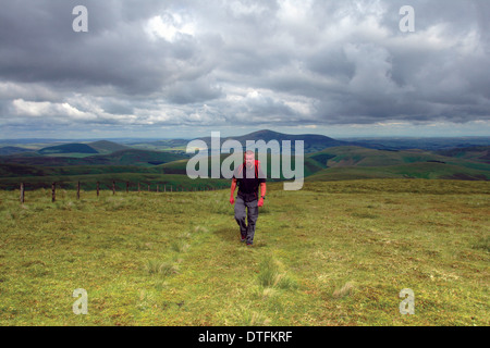 A walker reaching the summit of Hudderstone overlooking Tinto Hill and the Clyde Valley, South Lanarkshire Stock Photo