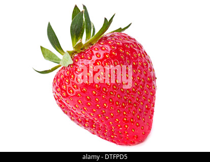 Strawberry fruit closeup isolated on white background Stock Photo - Alamy
