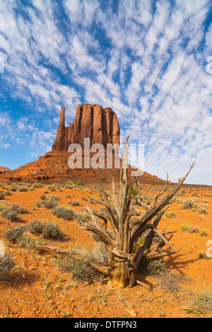 Monument Valley, West Mitten Butte, from Wildcat Trail, Arizona USA Stock Photo