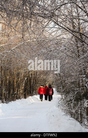 Locals walking down a wooded road during the Ice storm in Valcourt, Quebec Stock Photo