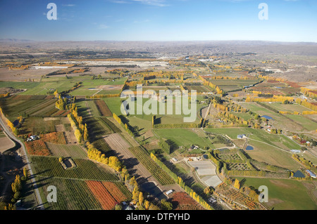 Orchards and Poplar Trees, Earnscleugh, near Alexandra, Central Otago, South Island, New Zealand - aerial Stock Photo